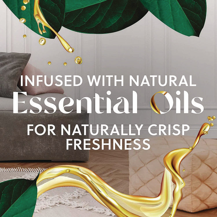 Scented Oil Warmer, 1.75" x 2.69" x 3.63", White, 6/Carton