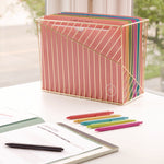 U-Eco Poly File Jackets, Straight Tab, Letter Size, Assorted, 10/Pack