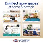 Scentiva Bleach Free Cleaning Wipes, 7.75 x 7, Tuscan Lavender and Jasmine, 75/Canister