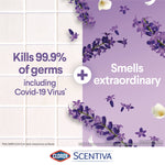 Scentiva Bleach Free Cleaning Wipes, 7.75 x 7, Tuscan Lavender and Jasmine, 75/Canister