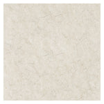 Natural Burnishing Floor Pads, 24" Diameter, White, 5/carton