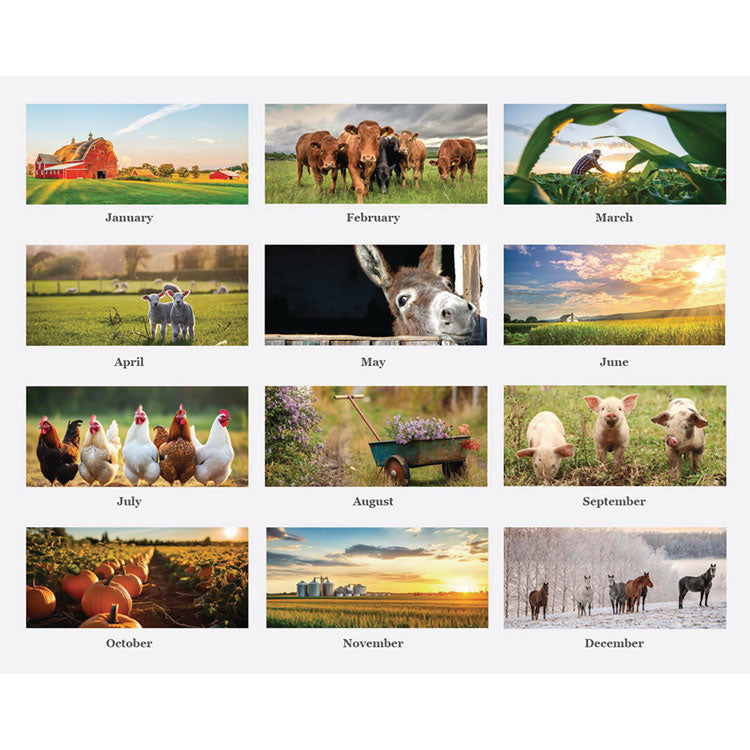 100% Recycled Farm Life Wall Calendar, 11 x 14, White/Multicolor Sheets, 12-Month (Jan-Dec): 2025