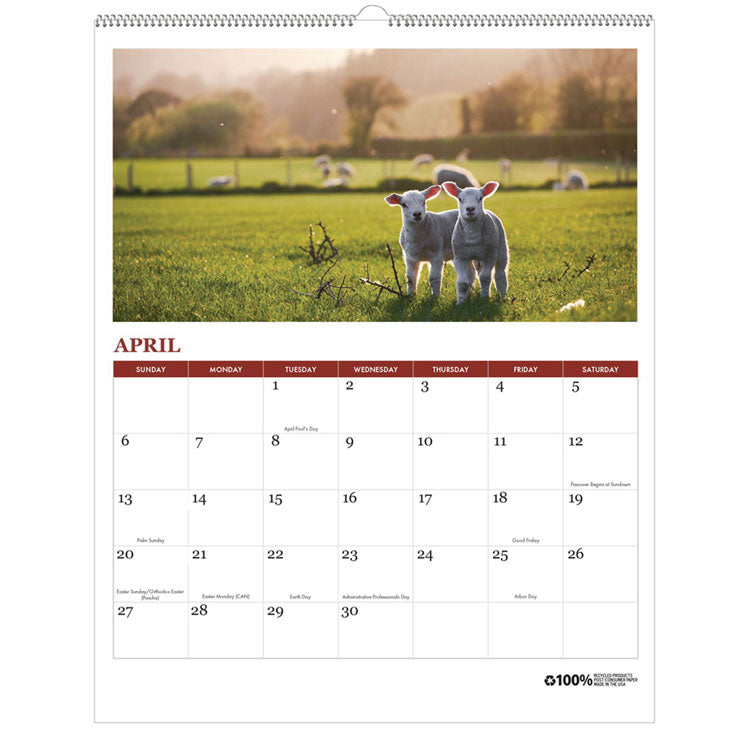 100% Recycled Farm Life Wall Calendar, 11 x 14, White/Multicolor Sheets, 12-Month (Jan-Dec): 2025