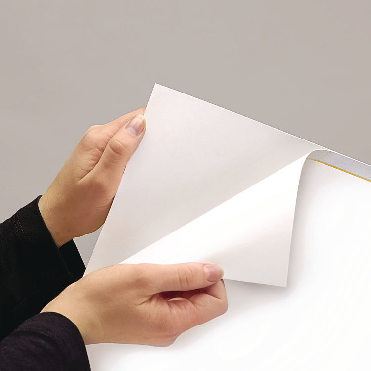 Wallmates Self-Adhesive Dry Erase Monthly Planning Surfaces, 24 X 18, White/gray/orange Sheets, Undated