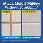 CloroxPro Disinfecting Instant Mold and Mildew Remover, 128 oz Refill Bottle, 4/Carton