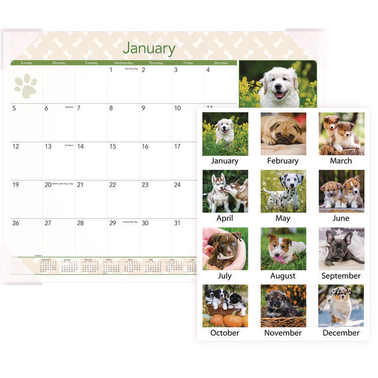 Puppies Monthly Desk Pad Calendar, Puppies Photography, 22 x 17, White Sheets, Clear Corners, 12-Month (Jan to Dec): 2025