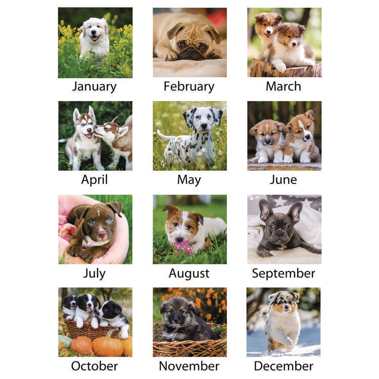 Puppies Monthly Desk Pad Calendar, Puppies Photography, 22 x 17, White Sheets, Clear Corners, 12-Month (Jan to Dec): 2025