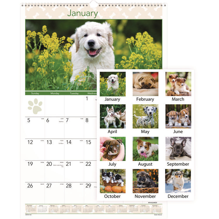 Puppies Monthly Wall Calendar, Puppies Photography, 15.5 x 22.75, White/Multicolor Sheets, 12-Month (Jan to Dec): 2025