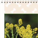 Puppies Monthly Wall Calendar, Puppies Photography, 15.5 x 22.75, White/Multicolor Sheets, 12-Month (Jan to Dec): 2025