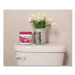 Super Odor Eliminator, Tropical Paradise and Pineapple, 14 oz Jar