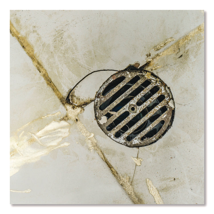 Green Earth Push Enzyme Multipurpose Cleaner, New Green Scent, 32 oz Bottle, 12/Carton