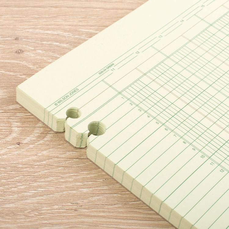 Accounting Sheets, 24 Columns, 11 X 14, Green, Loose Sheet, 100/pack