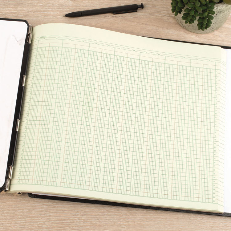 Accounting Sheets, 24 Columns, 11 X 14, Green, Loose Sheet, 100/pack