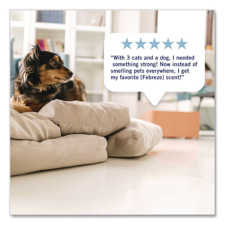 PLUG Air Freshener Warmer Starter Kit, Clear/White, with (2) Gain Original Refills