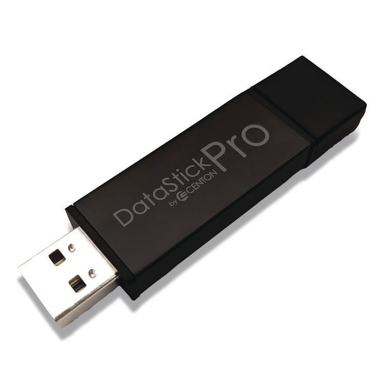 DataStick Pro USB 3.2 Type A Flash Drive, 256 GB, Black