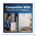 Allergen Defense Air Filter, 20 x 30, 4/Carton