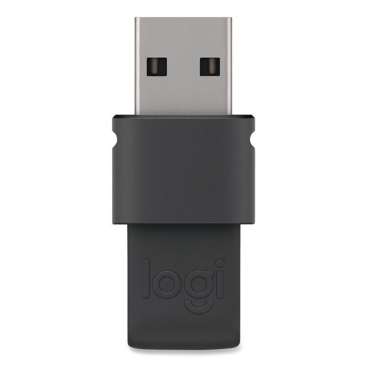 Spotlight Presentation Remote, Projects 100 ft, Slate