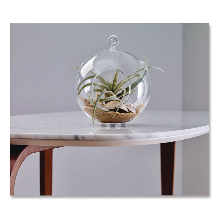 Bumpers, 0.5" dia, Clear, 40/Pack