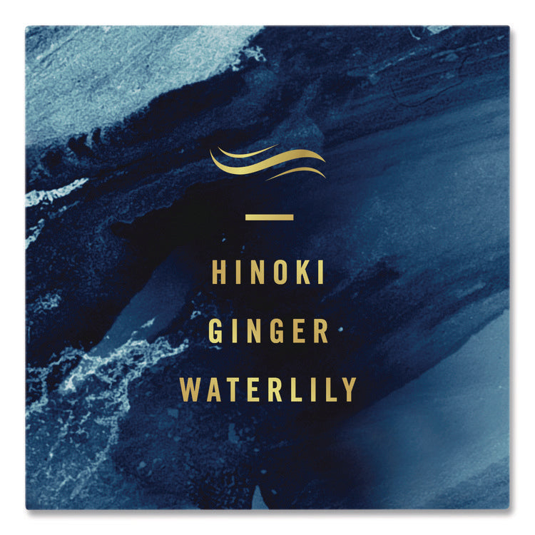 AIR, Ocean, 8.8 oz Aerosol Spray, 2/Pack