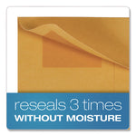 Redi-Seal Coin and Small Parts Envelope, #7, Cheese Blade Flap, Redi-Seal Adhesive Closure, 3.5 x 6.5, Kraft Brown, 500/Box