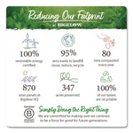 Single Flavor Tea, Green, 28 Bags/box