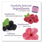 Botanicals Blackberry Raspberry Hibiscus Cold Water Herbal Infusion, 0.7 Oz Tea Bag, 18/box