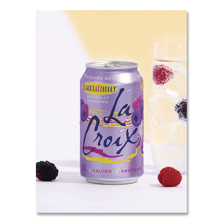 Sparkling Water, Black Razzberry, 12 oz Can, 12 Cans/Pack, 2 Packs/Carton