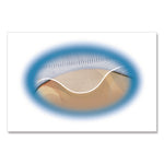 Two-Sided CD Organizer Sheets for Three-Ring Binder, 4 Disc Capacity, Clear, 5/Pack