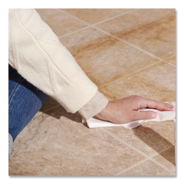 Professional Foaming Glass Cleaner Aerosol, 20 oz Aerosol Spray, 12/Carton