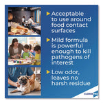 Anywhere Daily Disinfectant and Sanitizer, Unscented, 32 oz Spray Bottle