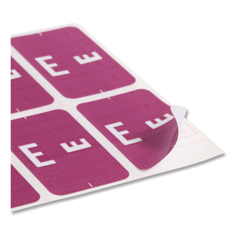 Alphaz Color-Coded Second Letter Alphabetical Labels, E, 1 X 1.63, Purple, 10/sheet, 10 Sheets/pack