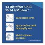 CloroxPro Disinfecting Instant Mold and Mildew Remover, 32 oz Smart Tube Spray