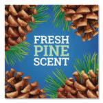 CloroxPro Multi-Surface Cleaner Disinfectant Concentrated, Original Pine Scent, 80 oz Bottle, 3/Carton