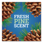 CloroxPro Multi-Surface Cleaner Disinfectant Concentrated, Original Pine, 80 oz Bottle