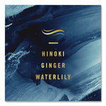 AIR, Ocean, 8.8 oz Aerosol Spray, 3/Pack