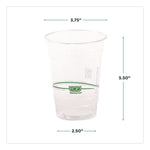 GreenStripe Renewable and Compostable Cold Cups Convenience Pack, 16 oz, Plastic, Clear, 50/Pack