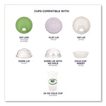 GreenStripe Renewable and Compostable PLA Cold Cups, 24 oz, Plastic, Clear, 50/Pack, 20 Packs/Carton