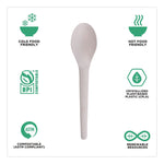 Plantware Compostable Cutlery, Spoon, Plastic, Pearl White, 50/Pack, 20 Pack/Carton