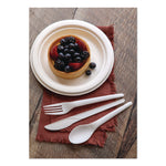Plantware Compostable Cutlery, Spoon, Plastic, Pearl White, 50/Pack, 20 Pack/Carton