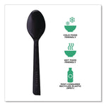 100% Recycled Content Cutlery, Spoon, Plastic, Black, 50/Pack, 20 Pack/Carton