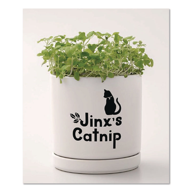 Joy Removable Smart Vinyl for Assorted Surfaces, 5.5 x 120, Black