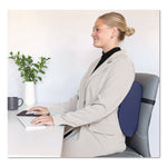 Sitback Standard Lumbar Back Support , 13 X 14, Blue