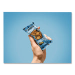 Stuff'D Peanut Butter and Chocolate Chip Oat Bar, 2.5 oz Bar, 12/Box