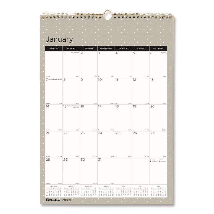 12-Month Wall Calendar, Succulent Plants Photography, 12 x 17, White/Multicolor Sheets, 12-Month (Jan to Dec): 2025