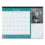Pets Collection Monthly Desk Pad, Furry Kittens Photography, 22 x 17, White Sheets, Black Binding, 12-Month (Jan-Dec): 2025