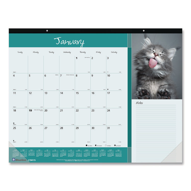 Pets Collection Monthly Desk Pad, Furry Kittens Photography, 22 x 17, White Sheets, Black Binding, 12-Month (Jan-Dec): 2025