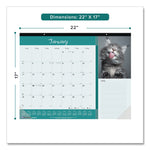 Pets Collection Monthly Desk Pad, Furry Kittens Photography, 22 x 17, White Sheets, Black Binding, 12-Month (Jan-Dec): 2025
