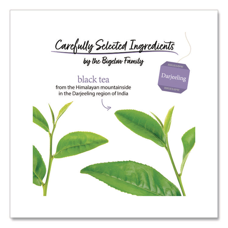 Darjeeling Black Tea Bags, 0.08 Tea Bag, 28/box