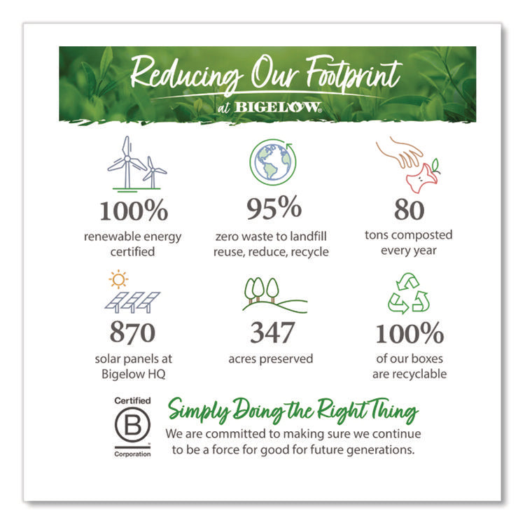 Apple Cinnamon Herbal Tea, 0.09 Tea Bag, 28/box