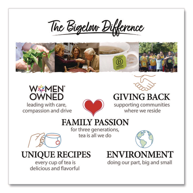 Steep Cafe Organic Herbal Tea, Lemon Ginger, 50 Bags/carton